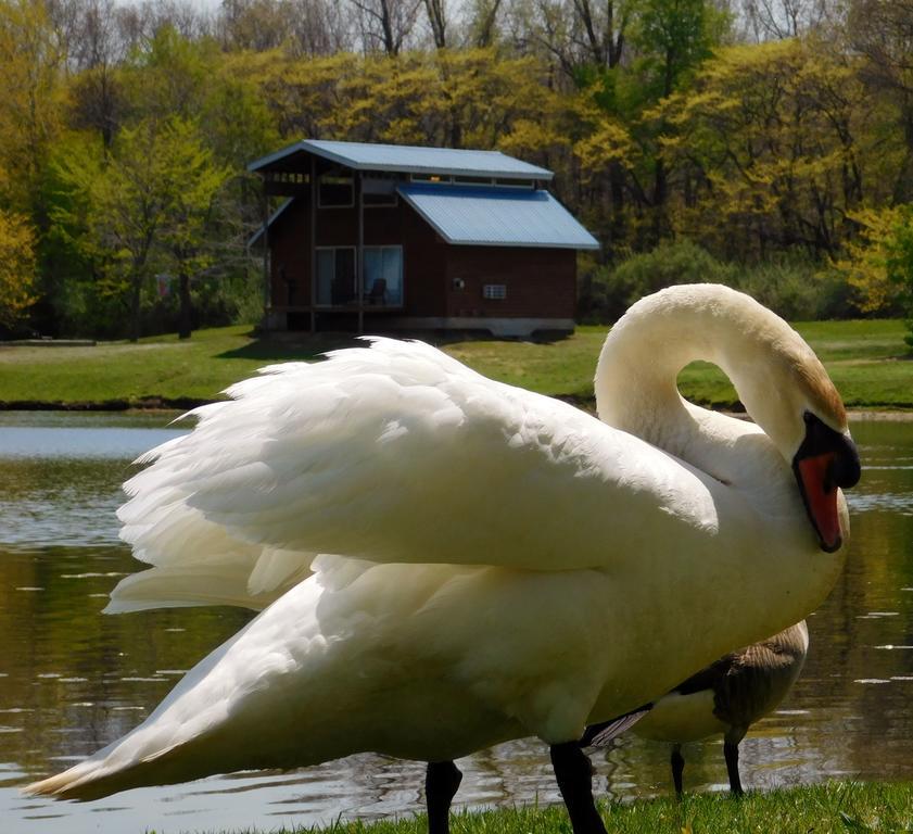 Serenity Springs - Michigan City Hotel Springfield ภายนอก รูปภาพ