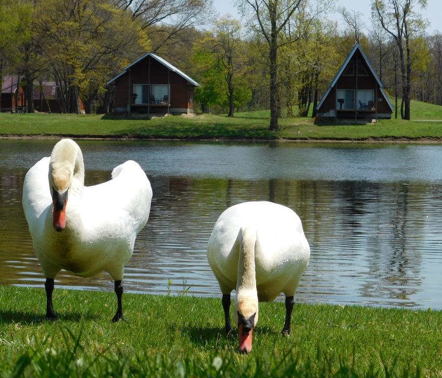 Serenity Springs - Michigan City Hotel Springfield ภายนอก รูปภาพ