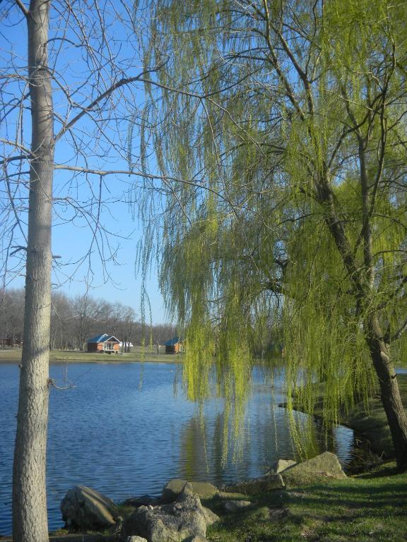 Serenity Springs - Michigan City Hotel Springfield ภายนอก รูปภาพ