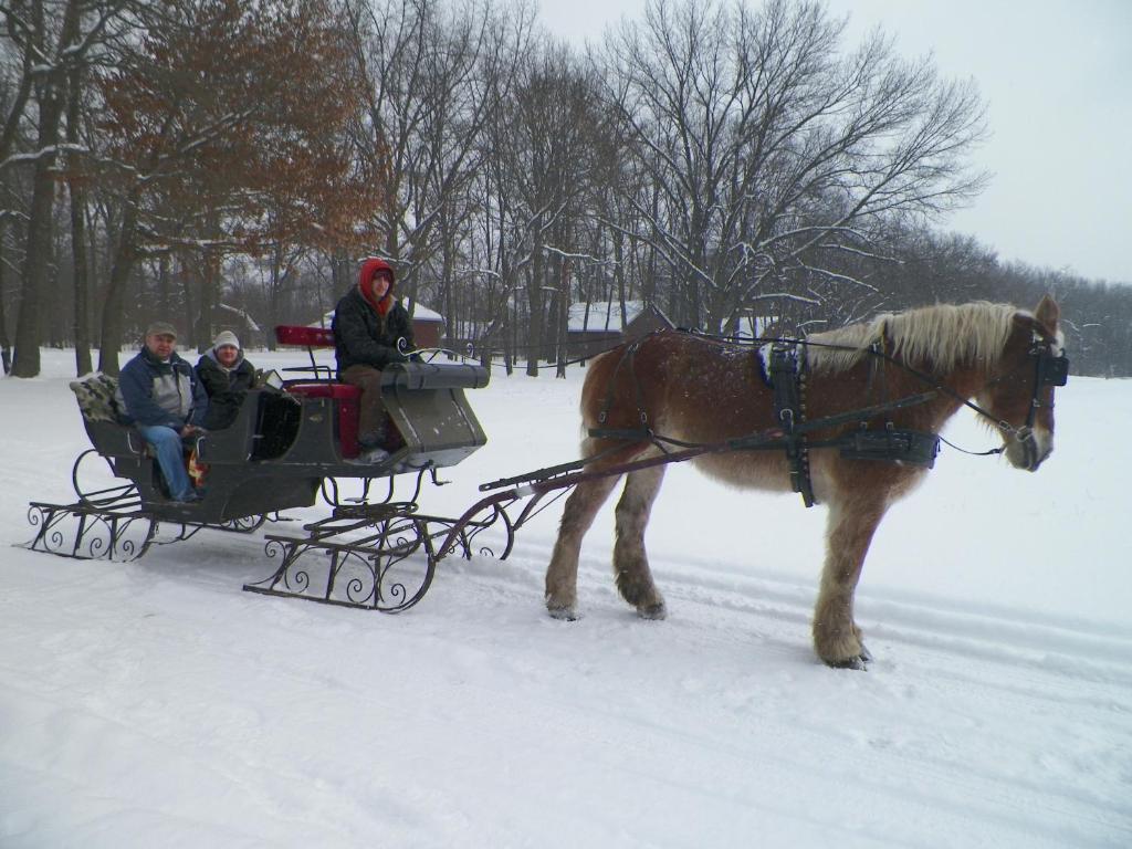 Serenity Springs - Michigan City Hotel Springfield ภายนอก รูปภาพ
