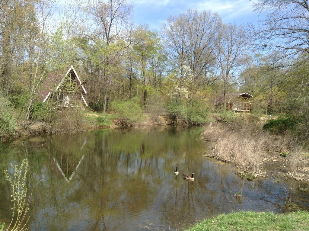 Serenity Springs - Michigan City Hotel Springfield ภายนอก รูปภาพ